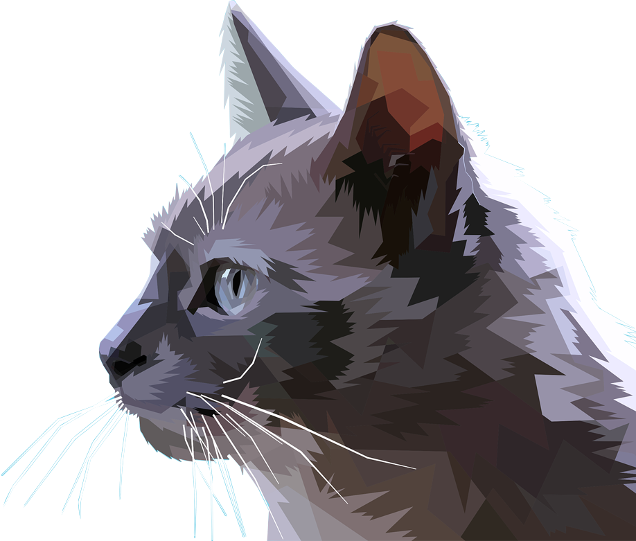 Gato